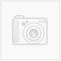 Kolnes "Kolnes IL" Logo N Transfermerke 250 mm x 46 mm